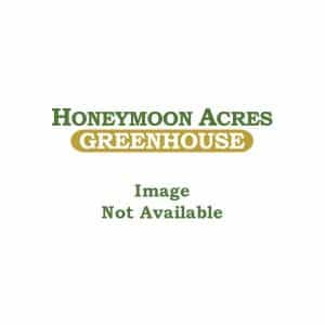 Honeymoon Acres: Image not available.
