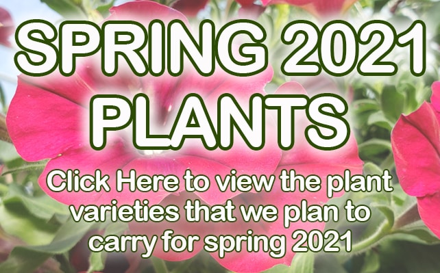 Honeymoon Acres Greenhouse New Holstein Wi 53061