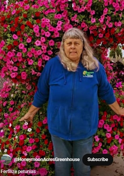 Fertilizing_petunias_Short_Video
