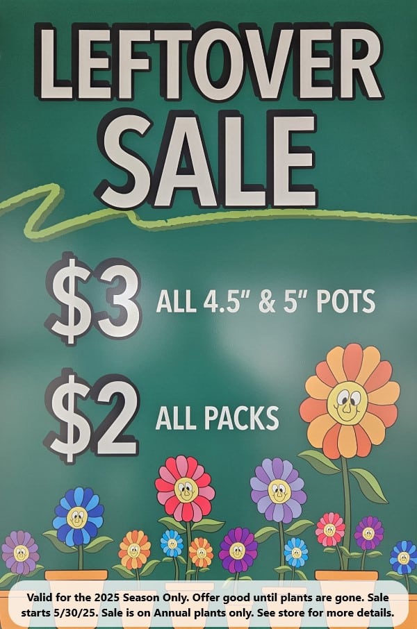 sale_leftovers_annuals_2025