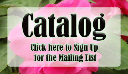 catalog_buttonnew