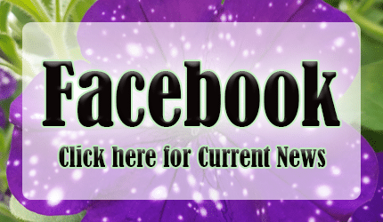 facebook_buttonnew