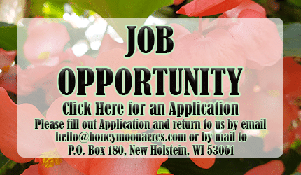 job_op_2026_newnew copy